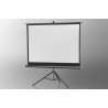 Projection screen on foot ceiling Economy 133 x 100 cm - image 11997