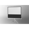 Projection screen on foot ceiling Economy 133 x 75 cm - White Edition - image 12009