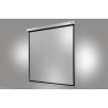 Ecran de projection celexon Motorisé PRO PLUS 240 x 240cm - image 12718