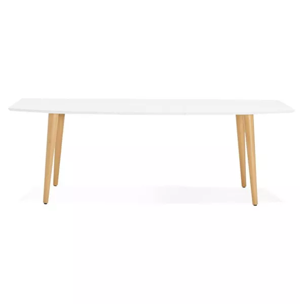 Dining table rectangular Scandinavian style with TRINE (white) wooden extensions - image 28181