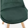 LeONORA Natural-coloured Feet Velvet Design Chair (green) to associate with Chairs With Armrests For More Comfort