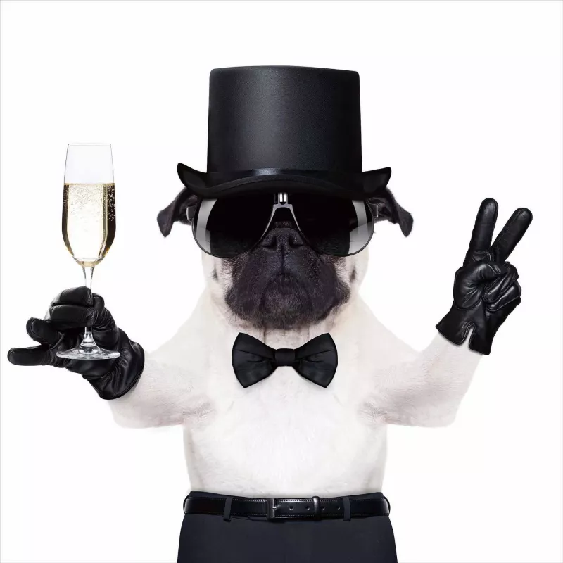 Tableau sur verre CHIEN COCKTAIL ATTITUDE (Noir, blanc)