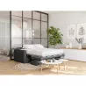 Canapé convertible 3 places tissu Matelas 160 cm NOELISE Gris foncé