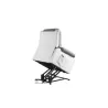 Electric relaxation chair with microfiber lifter and SHANA imitation (Grey, white) to associate with High Quality Solid Wood Arm