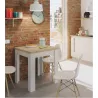 Table auxiliaire extensible L67-134xP67cm VESON (Blanc, Chêne)