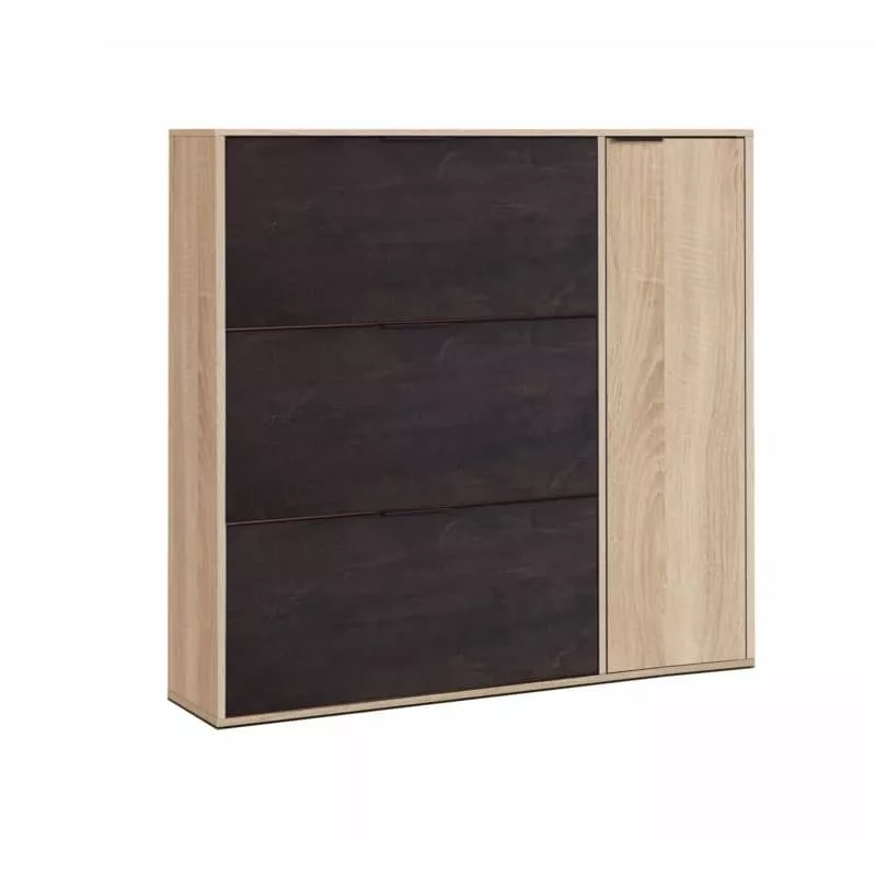 Shoe cabinet 3 flaps, 1 door (30 pairs) L106xH115 cm ZIAN (Light oak, black) to associate with Storage Furniture Tv Furniture Sh