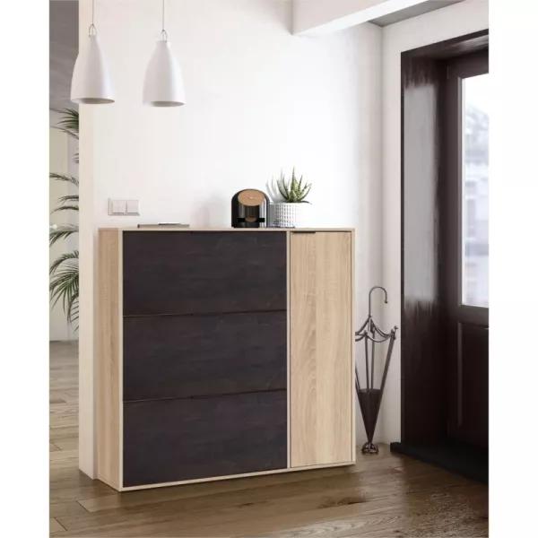 Shoe cabinet 3 flaps, 1 door (30 pairs) L106xH115 cm ZIAN (Light oak, black) to associate with Storage Furniture Tv Furniture Sh