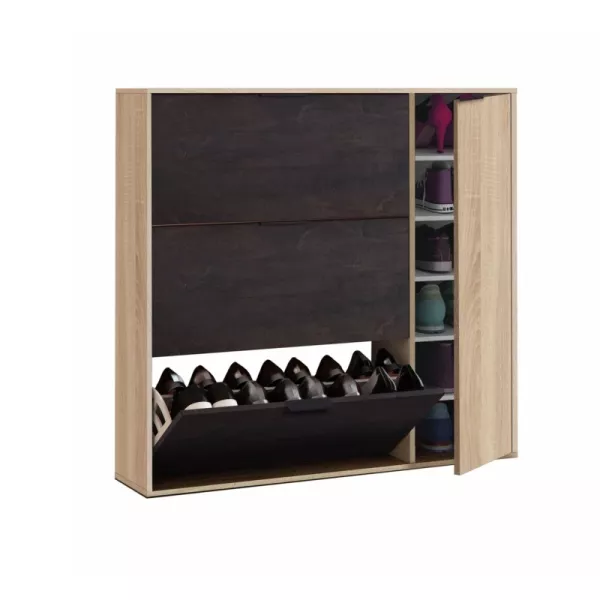 Shoe cabinet 3 flaps, 1 door (30 pairs) L106xH115 cm ZIAN (Light oak, black) to associate with Storage Furniture Tv Furniture Sh