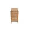 Armoire 2 portes 2 étagères en rotin MARLI (100x65 cm) (Naturel)