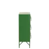 Armoire 9 portes en métal JOUBY (86x113 cm) (Vert)