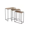 Set de 3 tables gigognes en métal NOURTIN (53x66 cm) (Marron, noir)