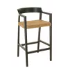 Tabouret de bar en teck et rotin PALBON (Noir, naturel)